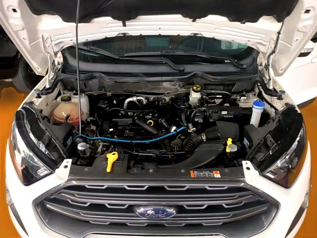 Ford Ecosport 2019 — фото 20