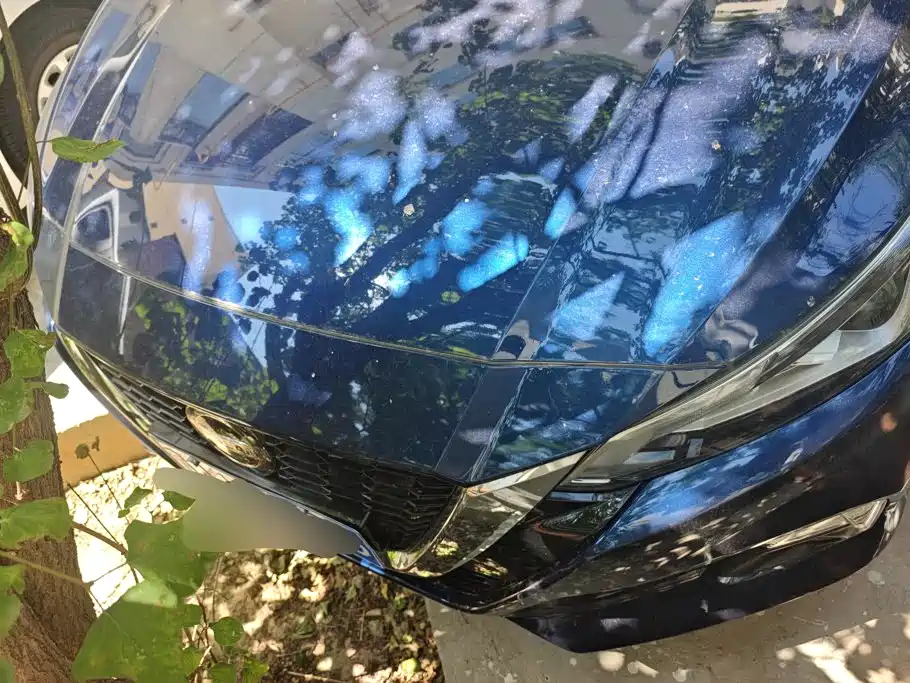 Nissan Teana 2020