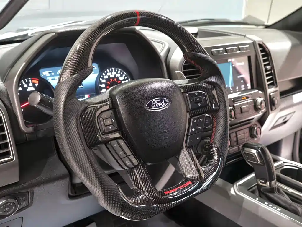 Ford F-150 Raptor 2019 — фото 3