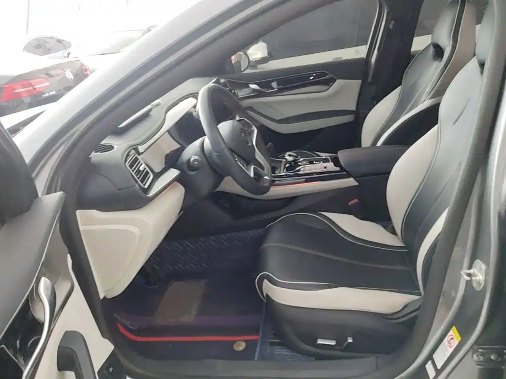 BYD Qin PLUS 2022 — фото 15