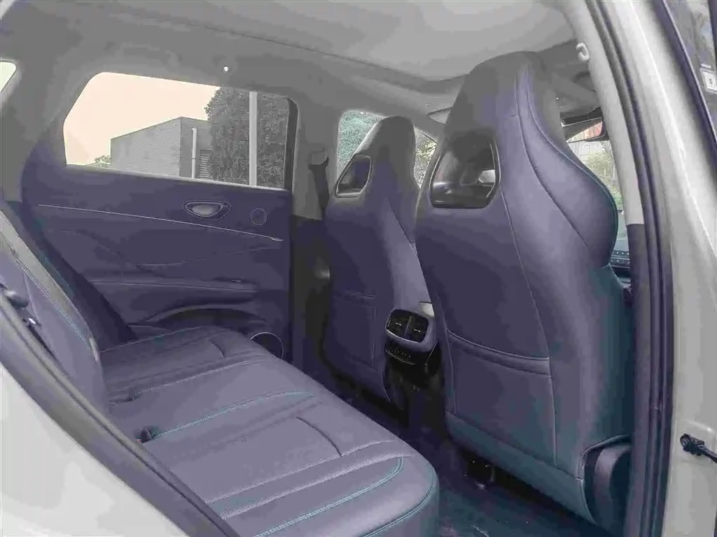 BYD Sealion 07 DM-i 2025 — фото 6