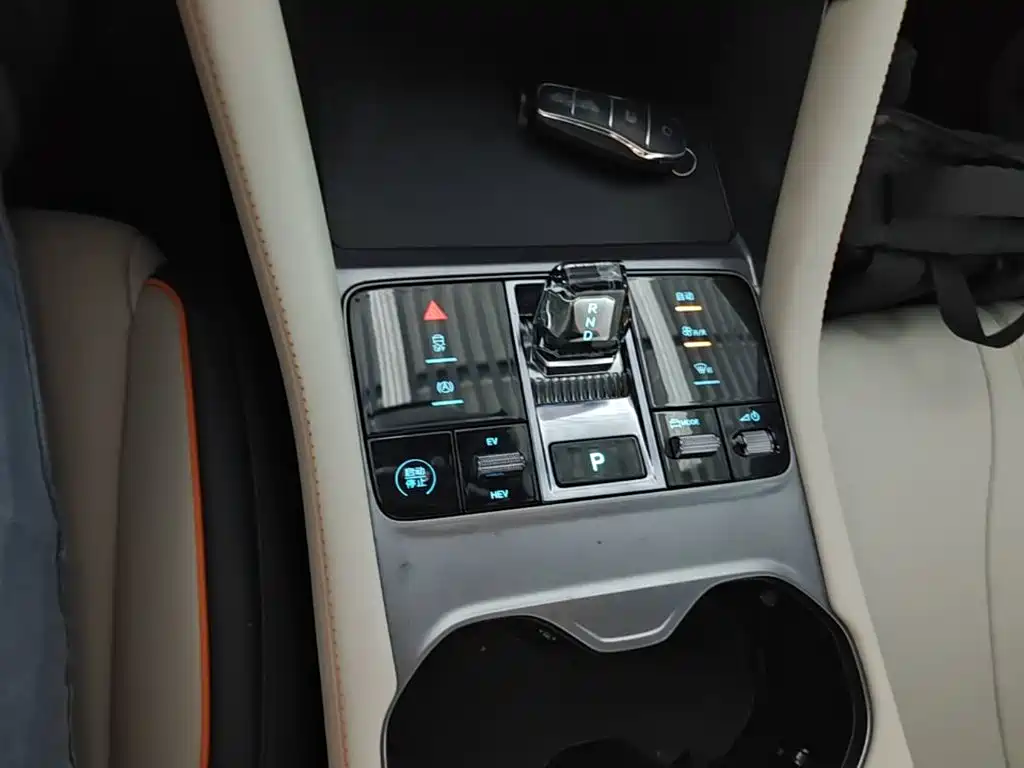 BYD Song PLUS New Energy 2024 — фото 14