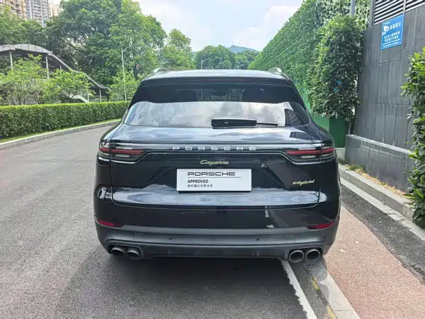 Porsche Cayenne New Energy 2019