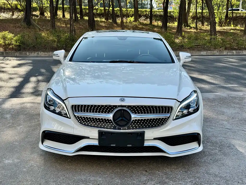 Mercedes-Benz CLS 2014 — фото 2
