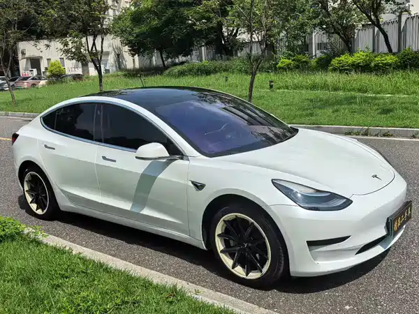 Tesla Model 3 2020