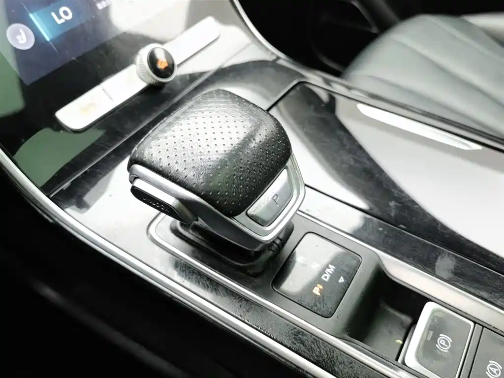 Roewe RX5 MAX 2020 — фото 13