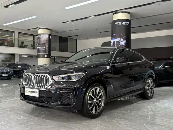 BMW X6 2022