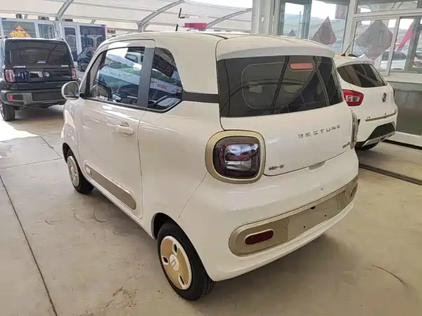 Bestune Pony 2024