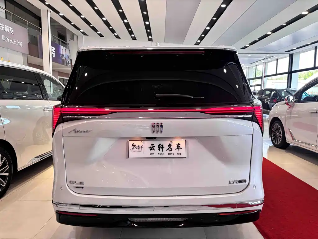 Buick GL8 Hybrid 2025 — фото 13