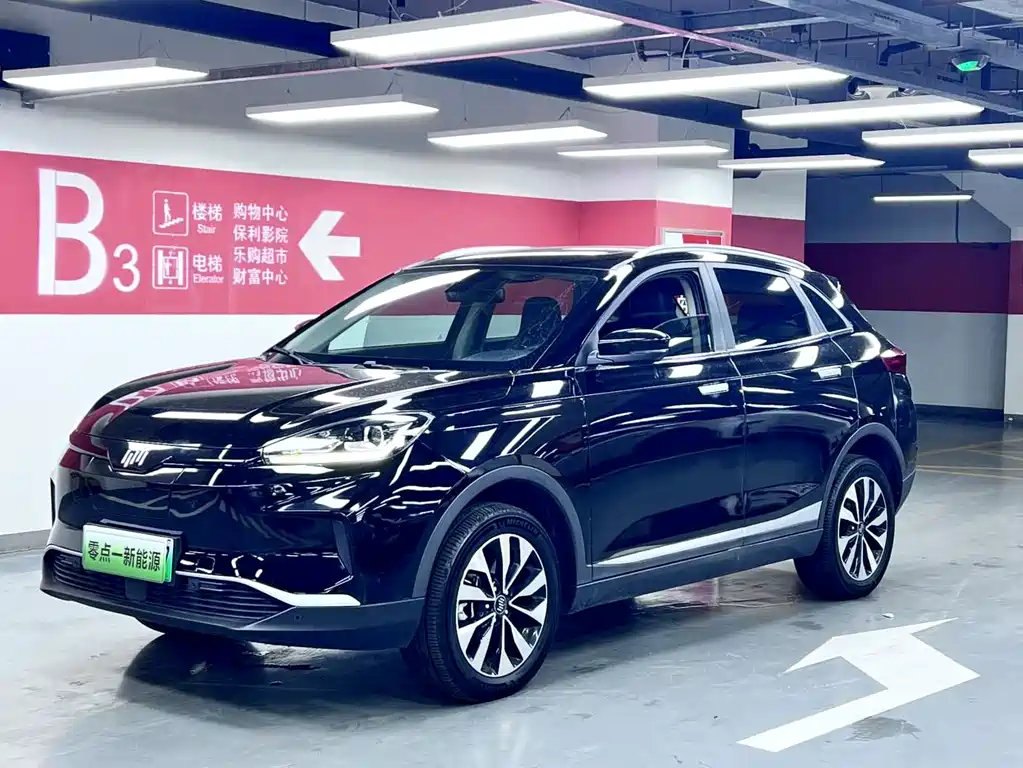 WM Motor EX5 2019