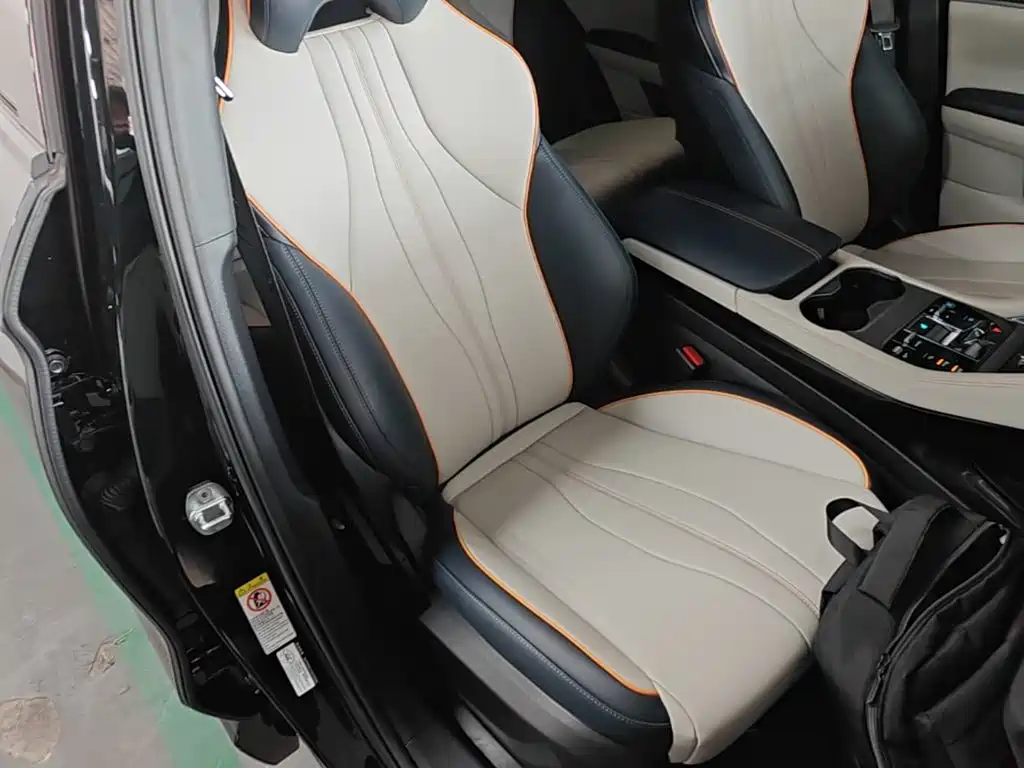 BYD Song PLUS New Energy 2024 — фото 25