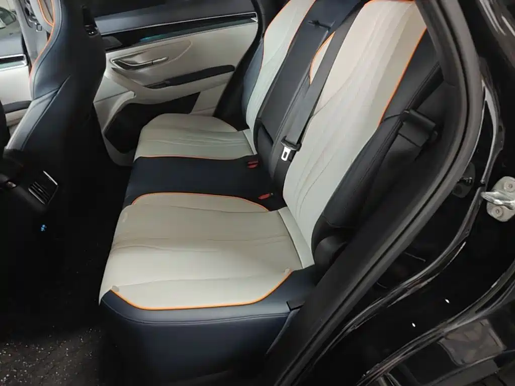 BYD Song PLUS New Energy 2024 — фото 17