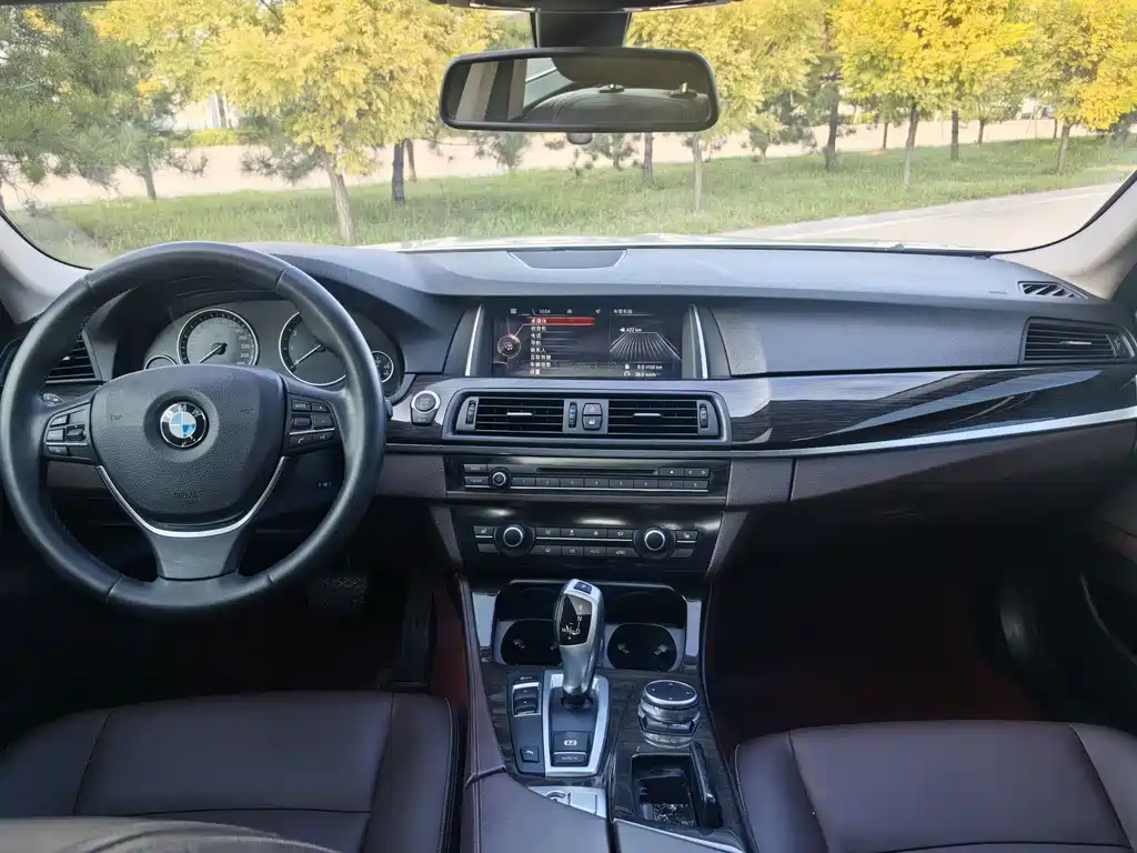 BMW 5 Series 2015