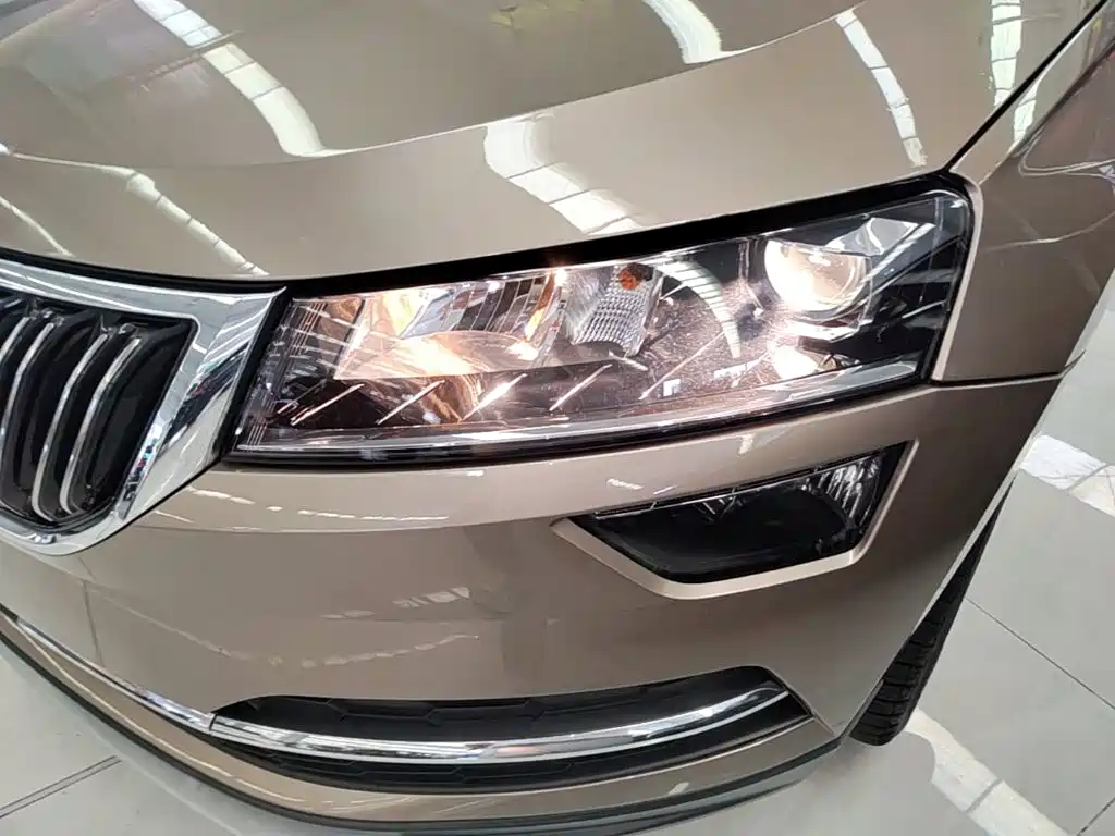 Skoda Karoq 2019 — фото 24