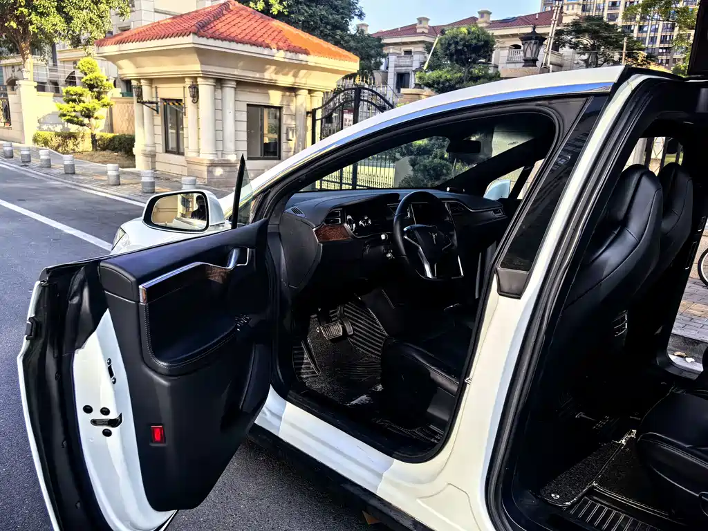 Tesla Model X 2018 — фото 10