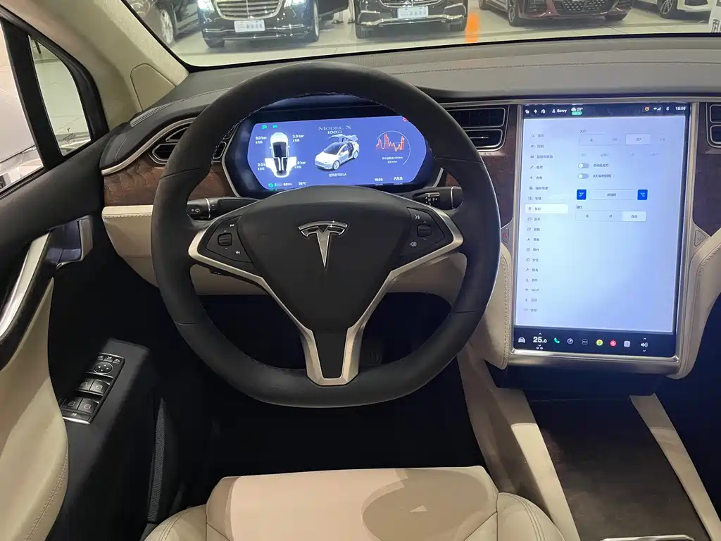 Tesla Model X 2018 — фото 6