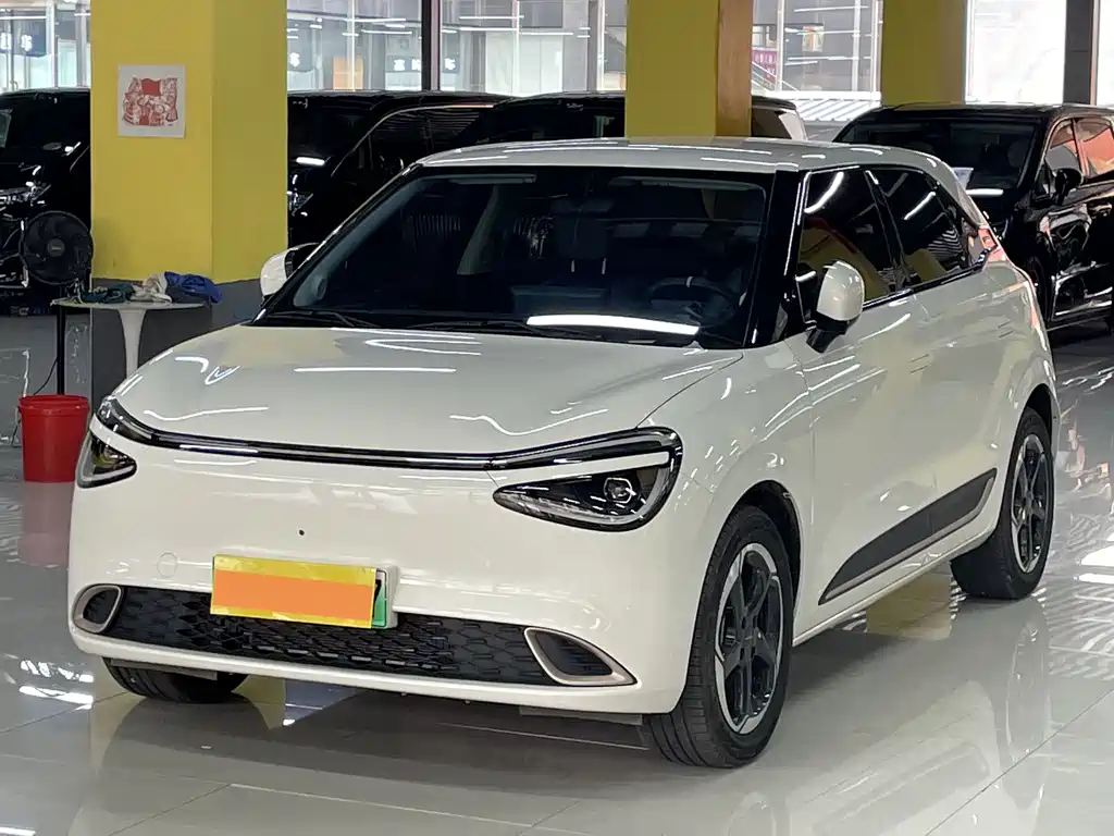 Dongfeng Nano 01 2024