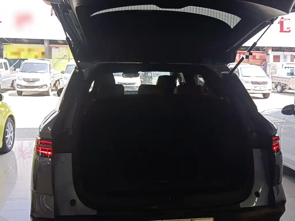 BYD Song Pro New Energy 2024 — фото 19
