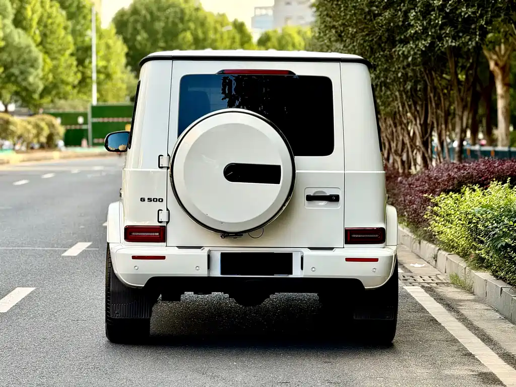 Mercedes-Benz G-Class 2021 — фото 13