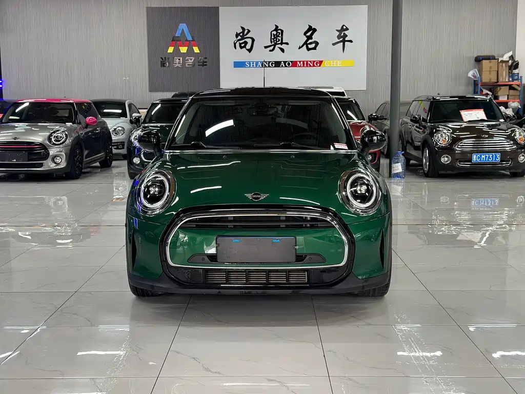 MINI MINI 2021