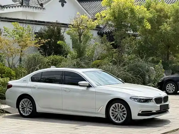 BMW 5 Series New Energy 2019