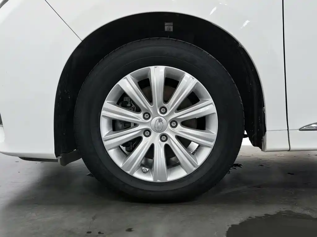 GAC Trumpchi M8 2020 — фото 17