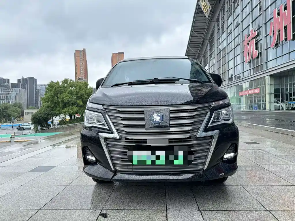 Dongfeng Lingzhi New Energy 2023