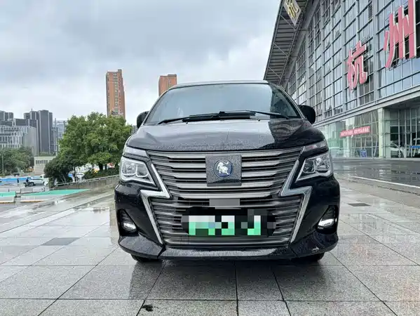 Dongfeng Lingzhi New Energy 2023