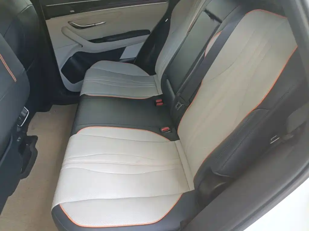 BYD Song PLUS New Energy 2021 — фото 17