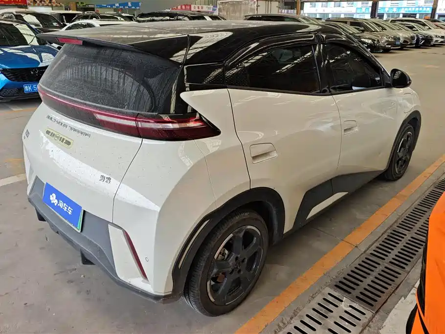 BYD Seagull 2024