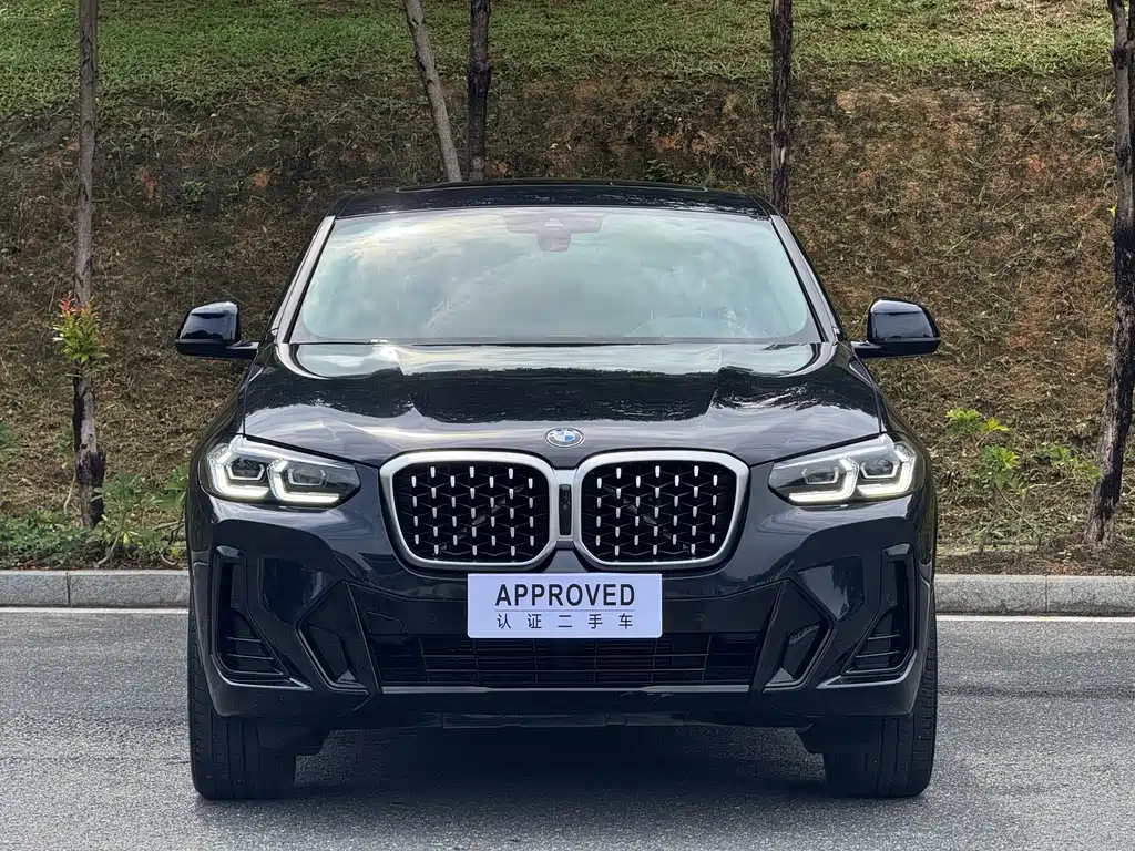 BMW X4 2022
