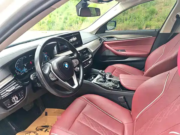 BMW 5 Series New Energy 2022