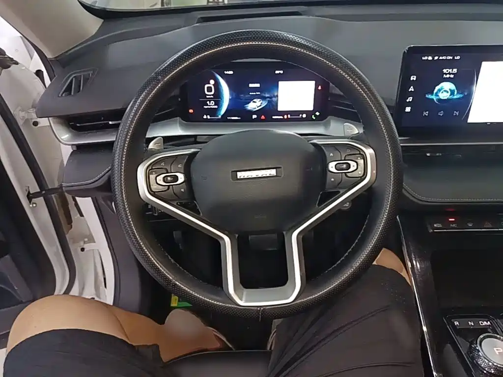 Haval H6 2023 — фото 11