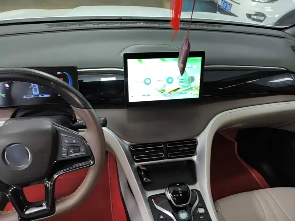 BYD Song Pro New Energy 2022 — фото 10
