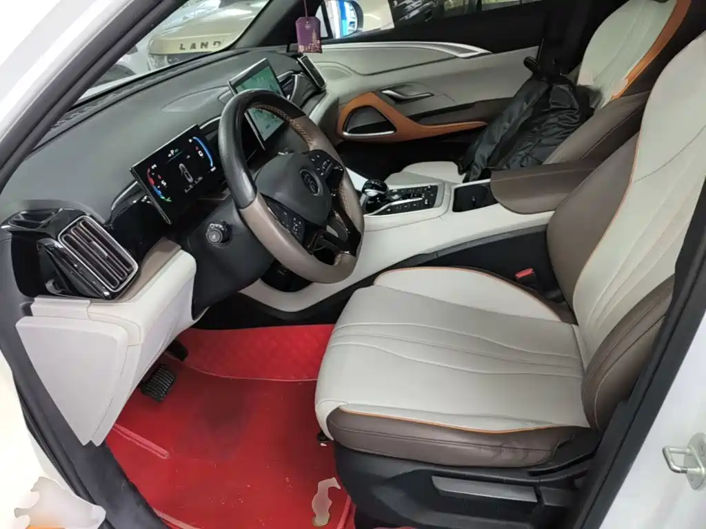 BYD Song Pro New Energy 2022 — фото 15