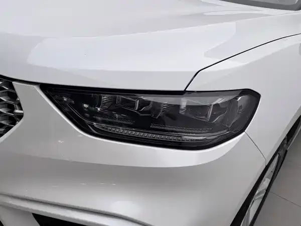 Wey VV5 2020