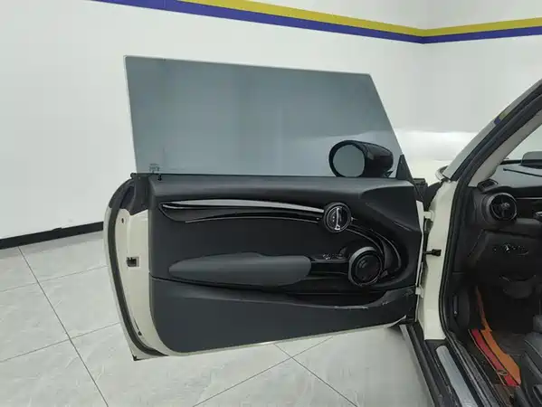 MINI MINI 2022