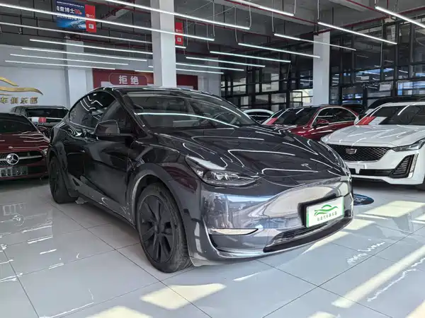 Tesla Model Y 2024