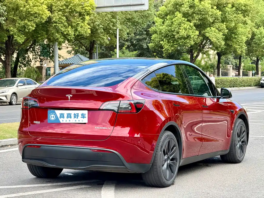 Tesla Model Y 2024 — фото 4