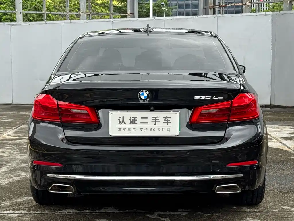 BMW 5 Series New Energy 2020 — фото 10