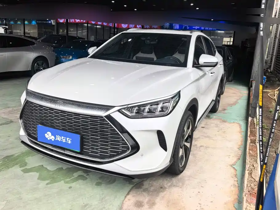 BYD Song PLUS New Energy 2022 — фото 1