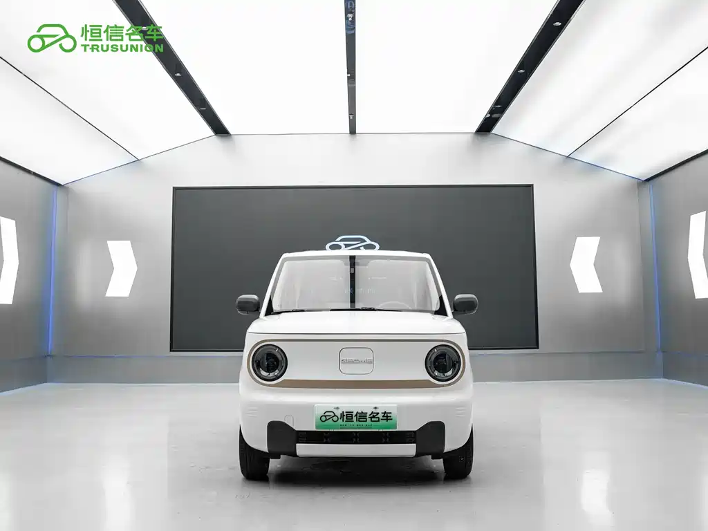 Galaxy Panda 2025