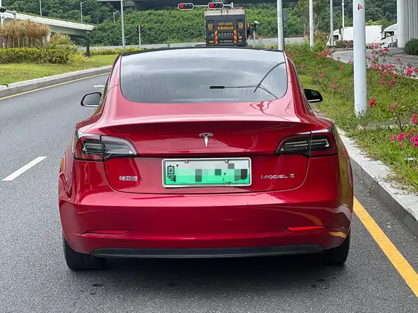 Tesla Model 3 2020