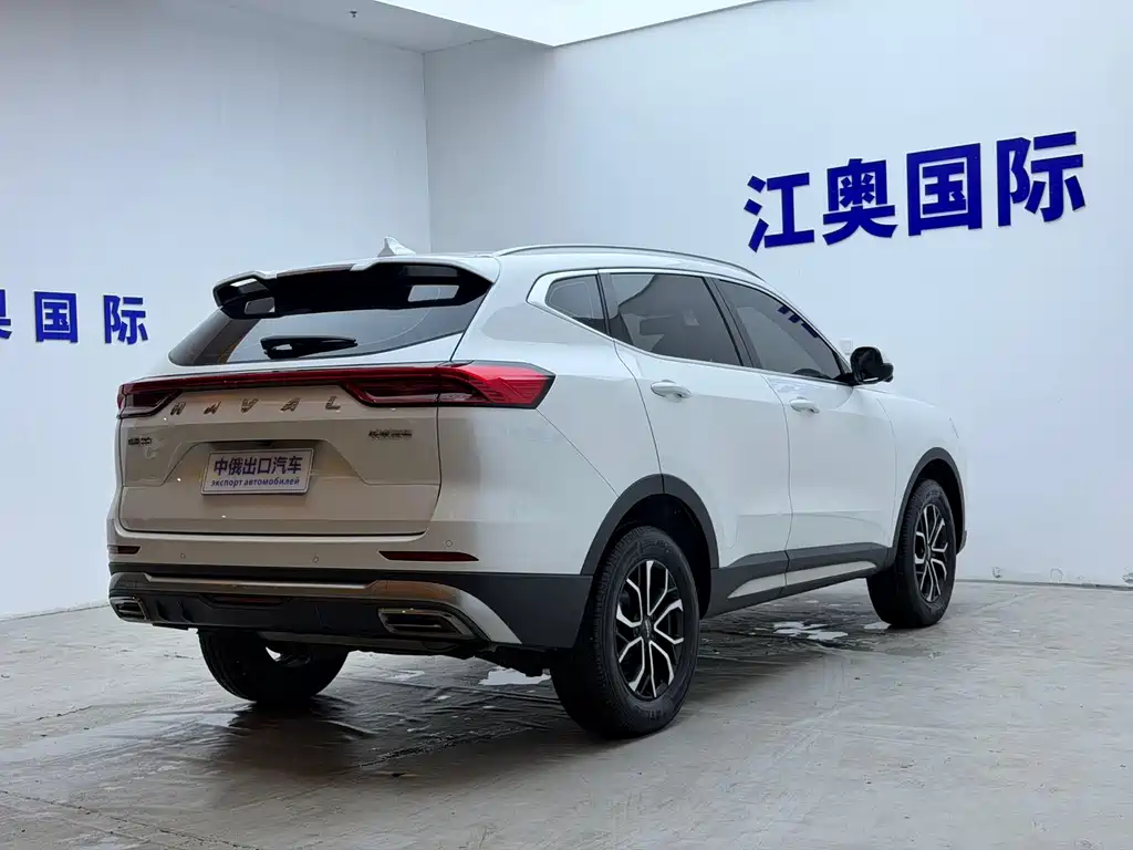 Haval H6 2023 — фото 18