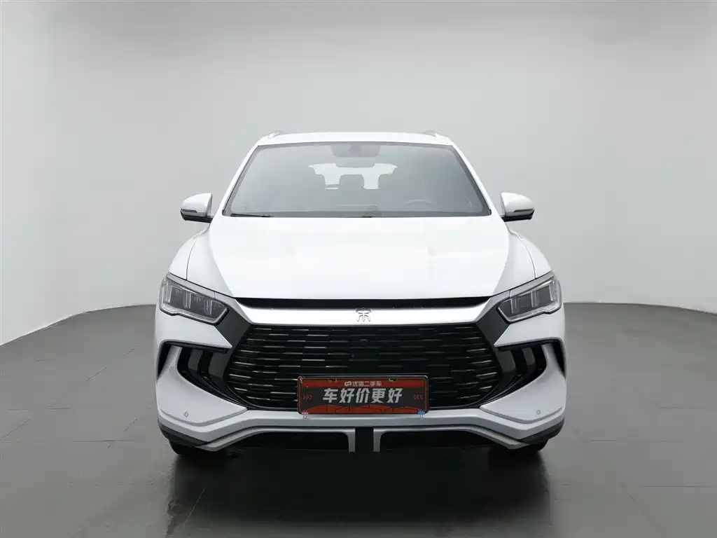 BYD Pro New Energy 2024