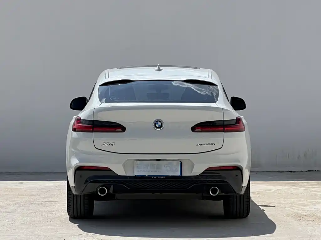 BMW X4 2020 — фото 3