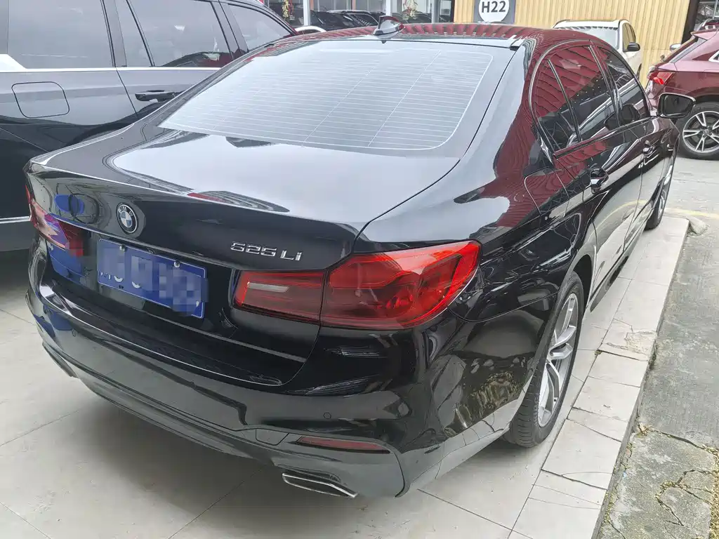 BMW 5 Series 2019 — фото 13