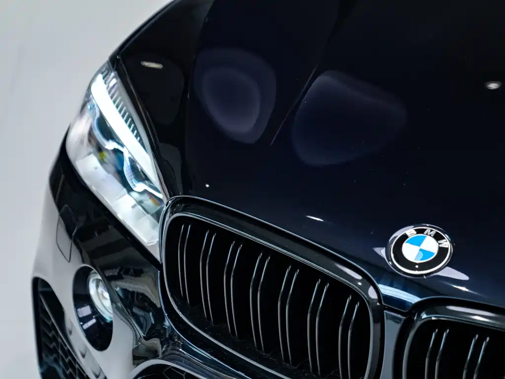BMW X5 M 2017 — фото 16