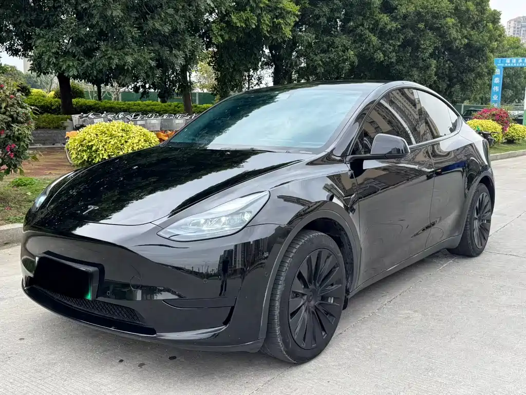 Tesla Model Y 2023 — фото 2