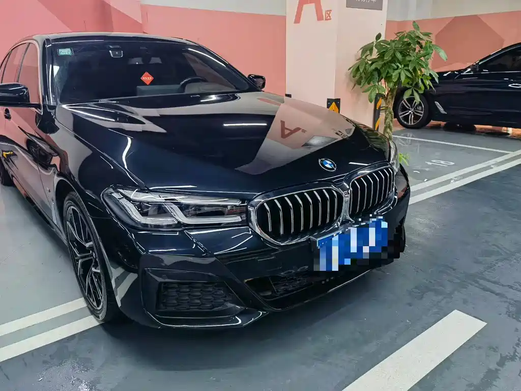 BMW 5 Series 2021